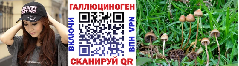 OMG сайт  дарнет шоп  Волчанск  Псилоцибиновые грибы мухоморы 